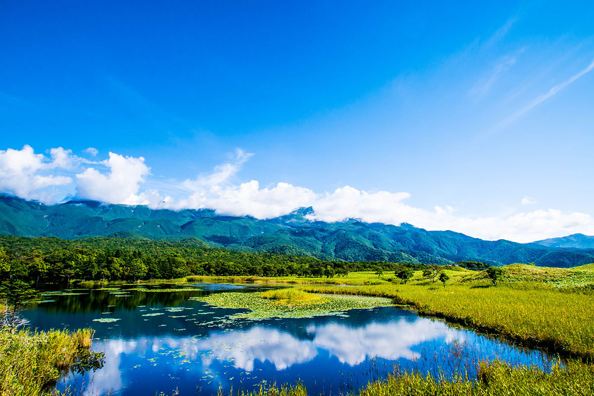 MÙA THU VÀNG 2018